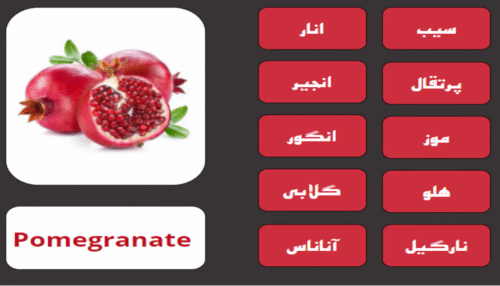 سورس فایل صوتی و تصویری قابل ویرایش Oxford Picture Dictionary